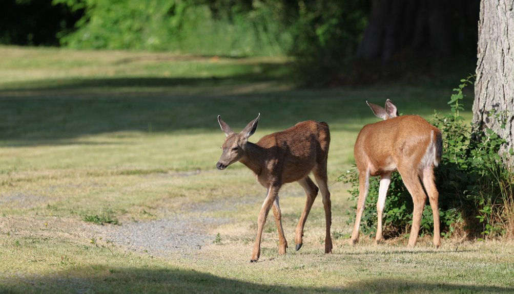 backyard deer safe food list