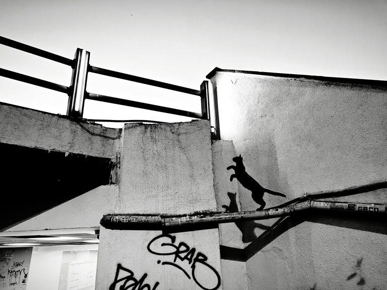 will my cat jump balcony